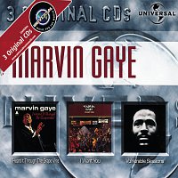 Marvin Gaye – I Heard It Through The Grapevine / I Want You / Vulnerable Sessions