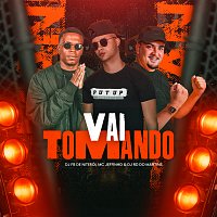 DJ Fb De Niteroi, Jefinho, DJ RD DO MARTINS – Vai Tomando