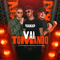 DJ Fb De Niteroi, Mc Jefinho, DJ RD DO MARTINS – Vai Tomando