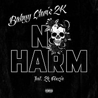 Babyy Chris 2K, 2k Foozie – No Harm