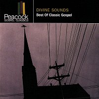 Různí interpreti – Divine Sounds: Best Of Classic Gospel