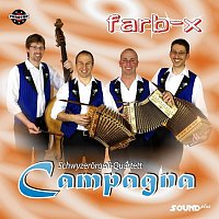 Schwyzerorgeli Quartett Campagna – farb-x