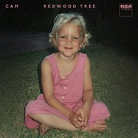 Cam – Redwood Tree