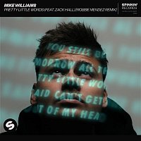 Mike Williams – Pretty Little Words (feat. Zack Hall) [Robbie Mendez Extended Remix]