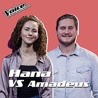 Hana Raca, Amadeus Evanne – Lovely [Fra TV-Programmet "The Voice"]