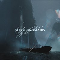 Ero – NEDEN ARAMADIN?