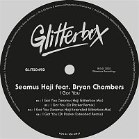 Seamus Haji – I Got You (feat. Bryan Chambers)
