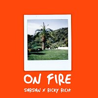 Dardan, Ricky Rich – ON FIRE