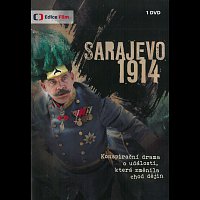 Různí interpreti – Sarajevo 1914 DVD