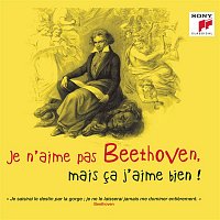 Various  Artists – Je n'aime pas Beethoven, mais ca j'aime bien !