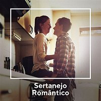Various  Artists – Sertanejo Romantico
