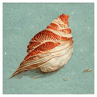 Library Tapes – Seashell Bird