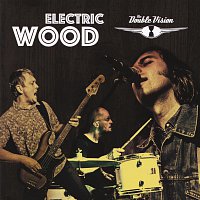 The Double Vision – Electric Wood