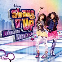 Různí interpreti – Shake It Up