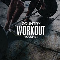 Různí interpreti – Country Workout, Volume 1