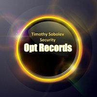 Timothy Sobolev – Security