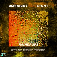 Ben Nicky, Stunt – Raindrops [David Rust Remix]