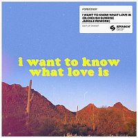 Foreigner – I Want To Know What Love Is (BLOND:ISH Sunrise Jungle Rework)