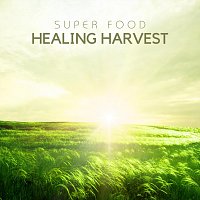 Přední strana obalu CD Healing Harvest