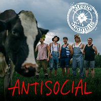 Steve ‘n’ Seagulls – Antisocial