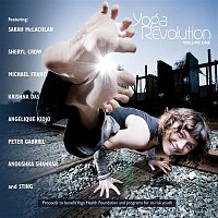 Various Artists.. – Yoga Revolution