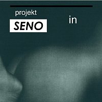 Projekt SENO – IN MP3