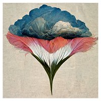 Ryuichi Nakamura – Cloud Flower