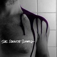 Přední strana obalu CD Das Schönste Schwarz
