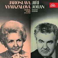 Přední strana obalu CD Jaroslava Vymazalová, Jiří Joran