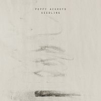 Poppy Ackroyd – Seedling