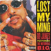 Ro James, The Notorious B.I.G. – Lost My Mind