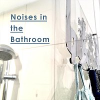 Studio 55 2 Sounds – Noises in the Bathroom