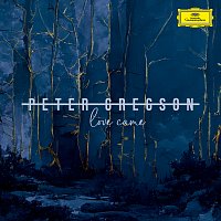 Peter Gregson – Love Came