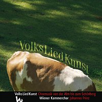 Wiener Kammerchor – VolksLiedKunst