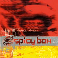 Přední strana obalu CD Love & Revolution