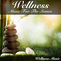 Wellness Music – Wellness Music For The Senses