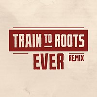 Train To Roots – Ever [Uk Steppa Remix]