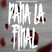 Přední strana obalu CD PANĂ LA FINAL