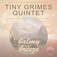 Různí interpreti – Balmy Breeze Vol. 3