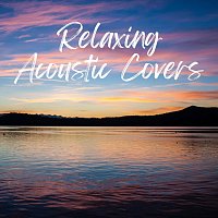 Různí interpreti – Relaxing Acoustic Covers
