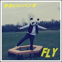 Fly