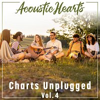 Přední strana obalu CD Charts Unplugged [Vol. 4]