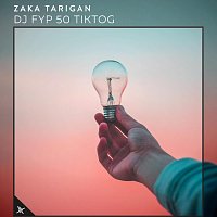 Zaka Tarigan – DJ Fyp 50 Tiktog