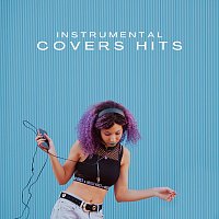 Různí interpreti – Instrumental Covers Hits