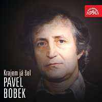 Pavel Bobek – Krajem já šel FLAC