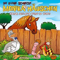 Die kleine Schnecke Monika Hauschen – 63: Warum schlafen Pferde so wenig?