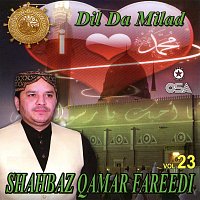 Shahbaz Qamar Fareedi – Dil Da Milad, Vol. 23