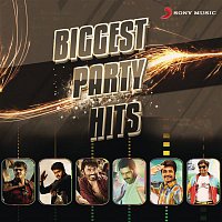 Various  Artists – Biggest Party Hits