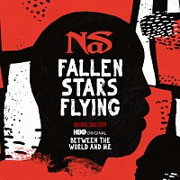 Nas – Fallen Stars Flying [Original Song From Between The World And Me]