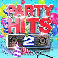 Various  Artists – Party Hits 2